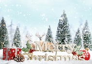 Компания "Деловой Новосибирск" поздравляет с Наступающим Новым годом и Рождеством!