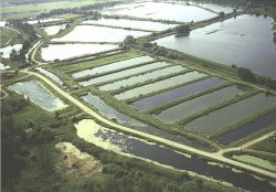 0eec045982150870fde50ba0ffab8171