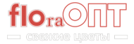 FLOraОПТ, супермаркет оптово-розничной продажи цветов