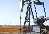 Промышленно-логистический парк для нефтепереработки создадут в регионе