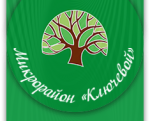 Микрорайон Ключевой, строительная компания