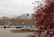 Мэрия Новосибирска изымает земельный участок рядом с Заксобранием для создания городского сквера