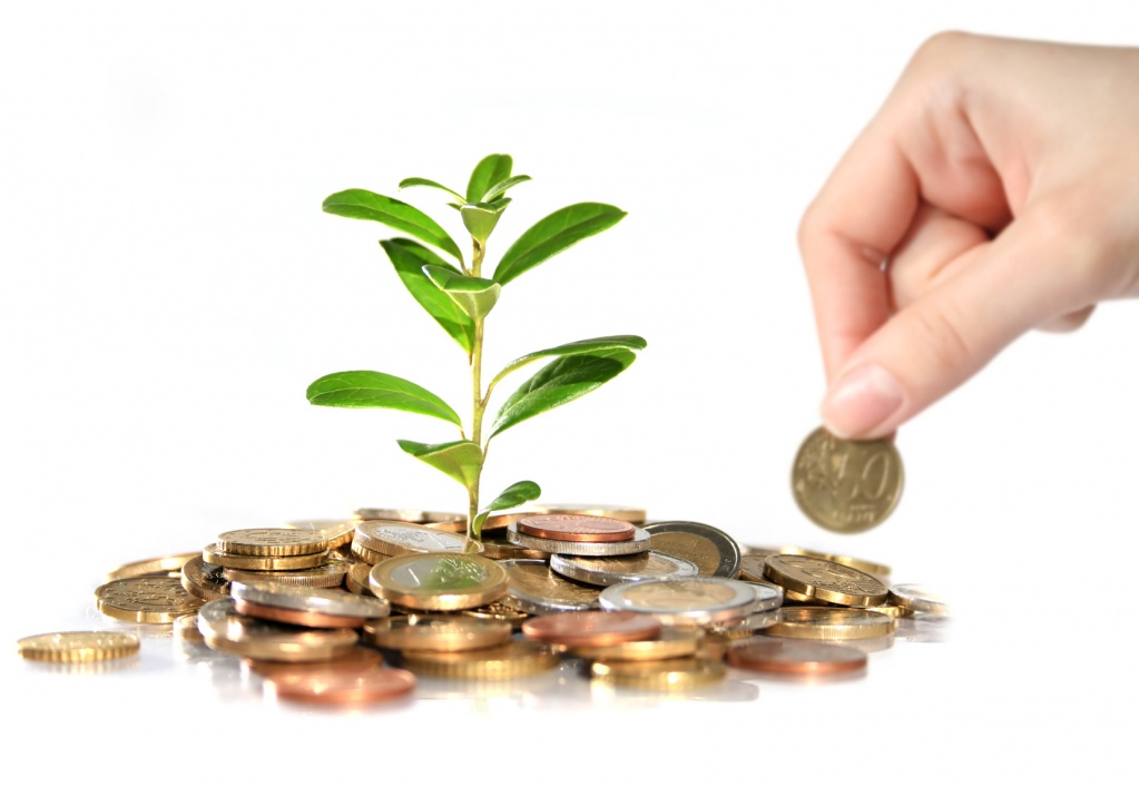 Growing-Money.jpg