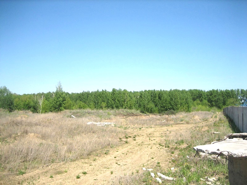 IMG_9375.JPG